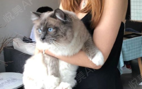 私密漂红不连续做可以吗,安全与效果的平衡之道